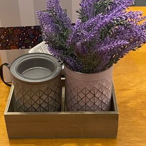 Lavender Plant in Decorative Pot with Mug